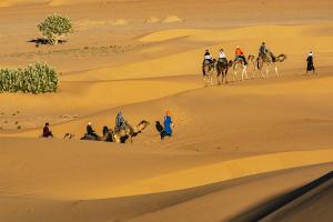 Deserto Erg Chebbi (Marocco)