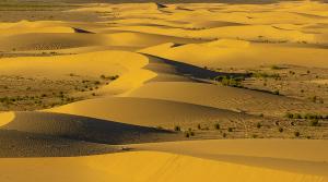 Deserto Erg Chebbi (Marocco)