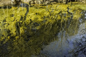 Cascate di LequarciUlassai (NU)AAA4520